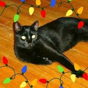 Meet your Posher, Jenn